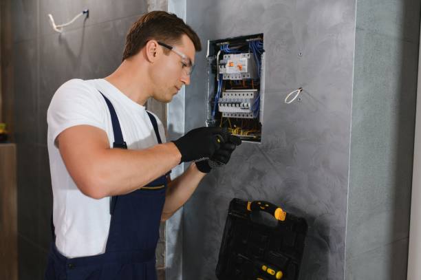 Best Electric Panel Repair  in Allendale, CA
